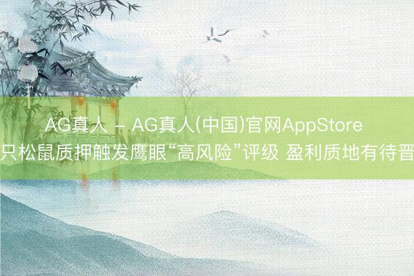 AG真人 - AG真人(中国)官网AppStore 三只松鼠质押触发鹰眼“高风险”评级 盈利质地有待晋升