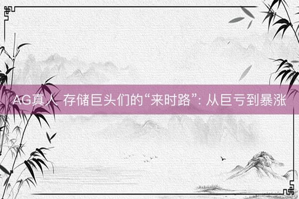AG真人 存储巨头们的“来时路”: 从巨亏到暴涨
