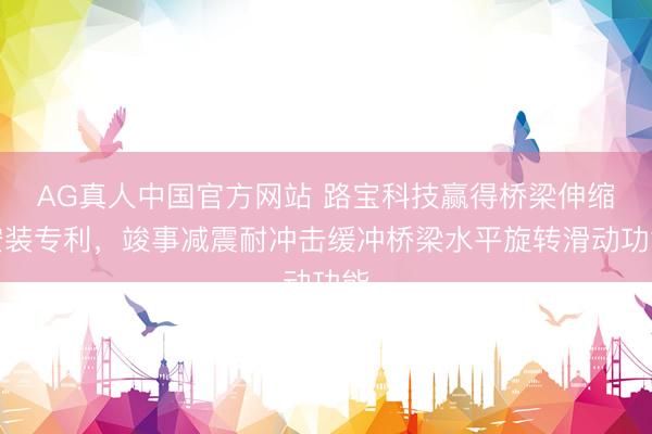 AG真人中国官方网站 路宝科技赢得桥梁伸缩安装专利，竣事减震耐冲击缓冲桥梁水平旋转滑动功能