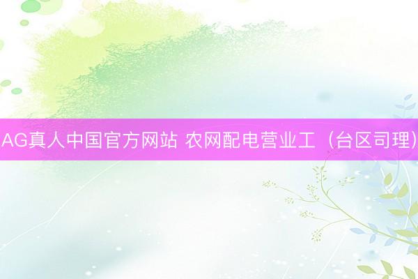 AG真人中国官方网站 农网配电营业工（台区司理）