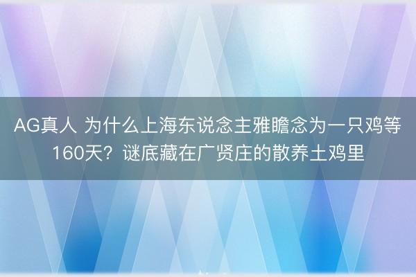 AG真人 为什么上海东说念主雅瞻念为一只鸡等160天？谜底藏在广贤庄的散养土鸡里