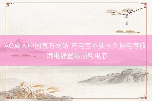 AG真人中国官方网站 充电宝不要长久插电存放， 满电静置易损耗电芯