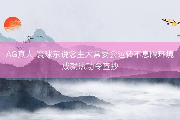 AG真人 寰球东说念主大常委会运转不息隔环境成就法功令查抄