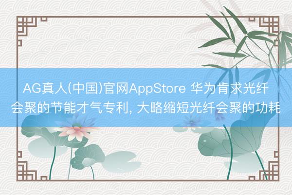 AG真人(中国)官网AppStore 华为肯求光纤会聚的节能才气专利, 大略缩短光纤会聚的功耗