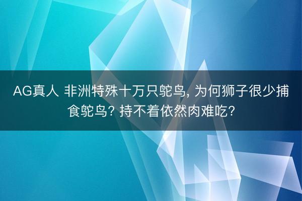 AG真人 非洲特殊十万只鸵鸟， 为何狮子很少捕食鸵鸟? 持不着依然肉难吃?