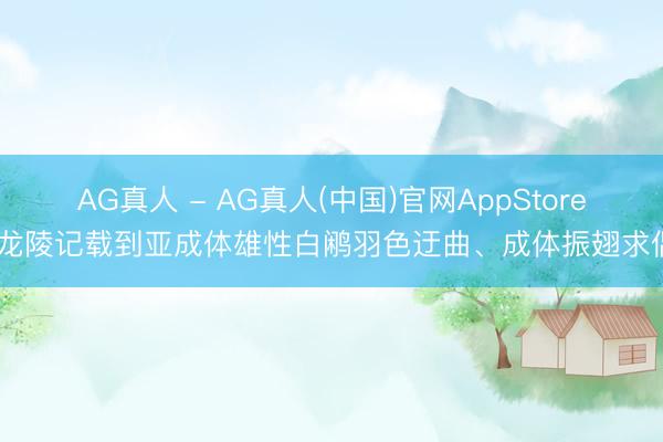 AG真人 - AG真人(中国)官网AppStore 龙陵记载到亚成体雄性白鹇羽色迂曲、成体振翅求偶
