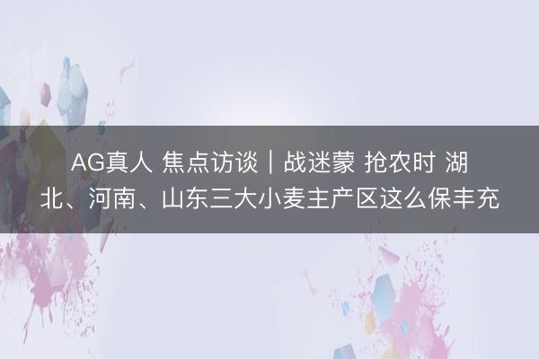 AG真人 焦点访谈｜战迷蒙 抢农时 湖北、河南、山东三大小麦主产区这么保丰充